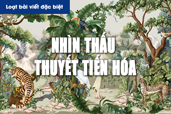 Nhìn thấu ‘Thuyết Tiến Hóa’ (Chương 2) – Phá Bỏ Suy Nghĩ Sai Lầm Kinh Điển Trong Thuyết Tiến Hóa (P.2)